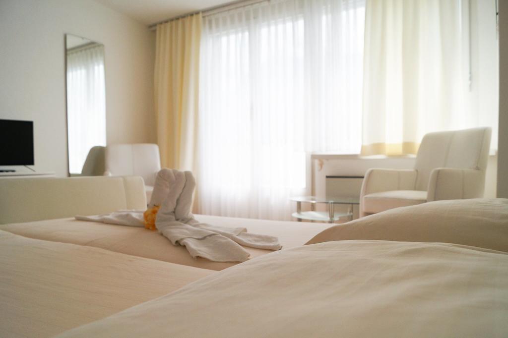 Hotel Tellsplatte Зизикон Экстерьер фото